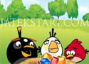 Angry Birds of Artillery Adventure Játékok