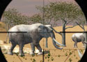 Animal Hunter 3D vadássz afrikai állatokra