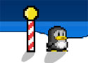 Penguins Pole mászkálós pingvines