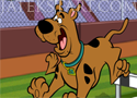 Scooby Doo Hurdle Race akadályfutás a népszerű kutyával