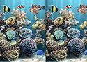 Sea Bubbles 5 Differences Játékok