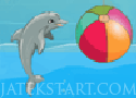 My Dolphin Show Játék