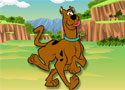 Scooby Doo Cup Run Játékok